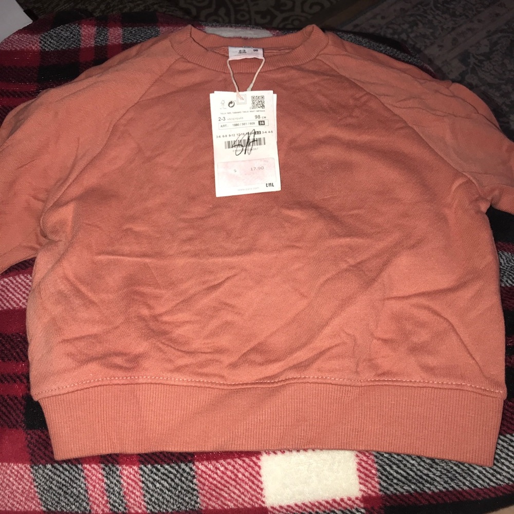 Orange Zara kids 2-3T sweater